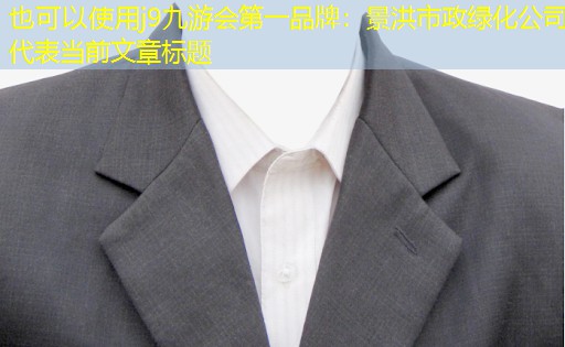 景洪市政绿化公司 景洪市政绿化公司