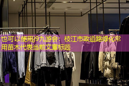 枝江市政道路绿化常用苗木 枝江市政道路绿化常用苗木