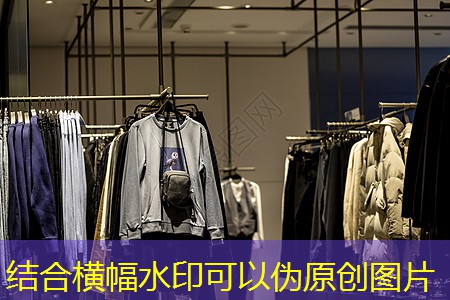 松江锦正园林绿化有限公司 松江锦正园林绿化有限公司